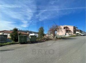 PHOTO-2024-01-30-19-34-31 4