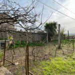 PHOTO-2024-03-25-17-59-27
